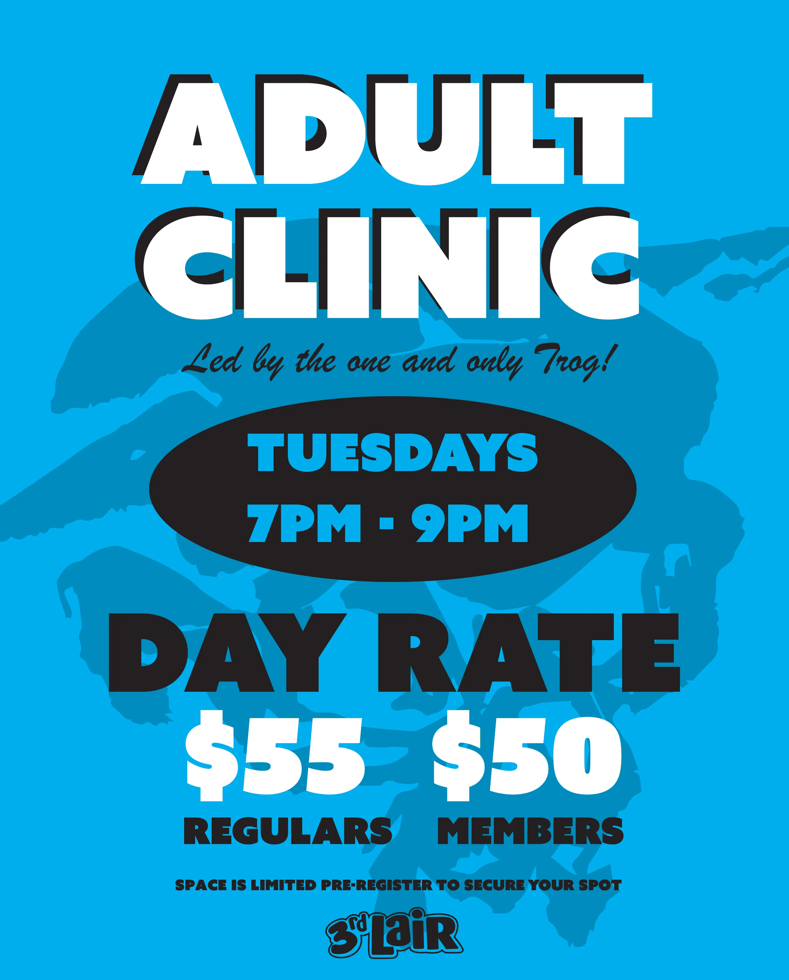 2024 ADULT SKATEBOARD CLINIC (DAY RATE)