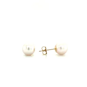 Pearl 8mm Stud Earrings in 14K Gold